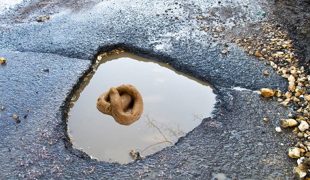 Picture of dog turd in flooded pothole during Potter’s Cross traffic jam causes Facebook to crash